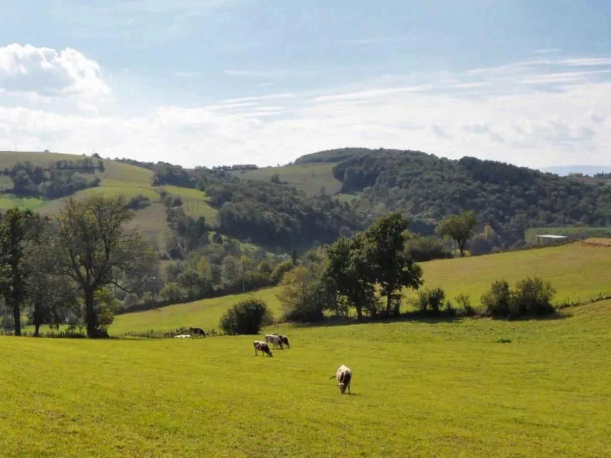 Gite Chaleureux Avec Cheminee, Terrasse Et Jardin Clos - Animaux Acceptes - Fr-1-496-30 Maringes Holiday home